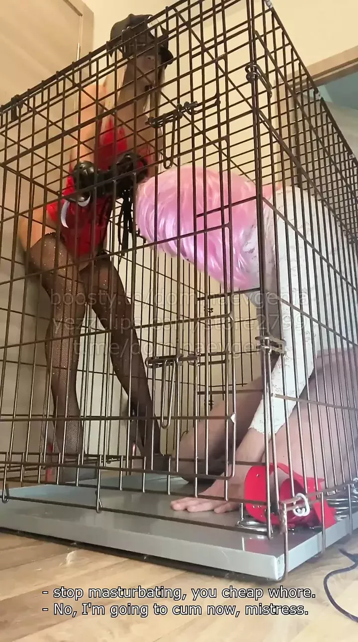 Domina Evgenia - Slave Life in a Cage and in a Chastity Belt (English subtitles)